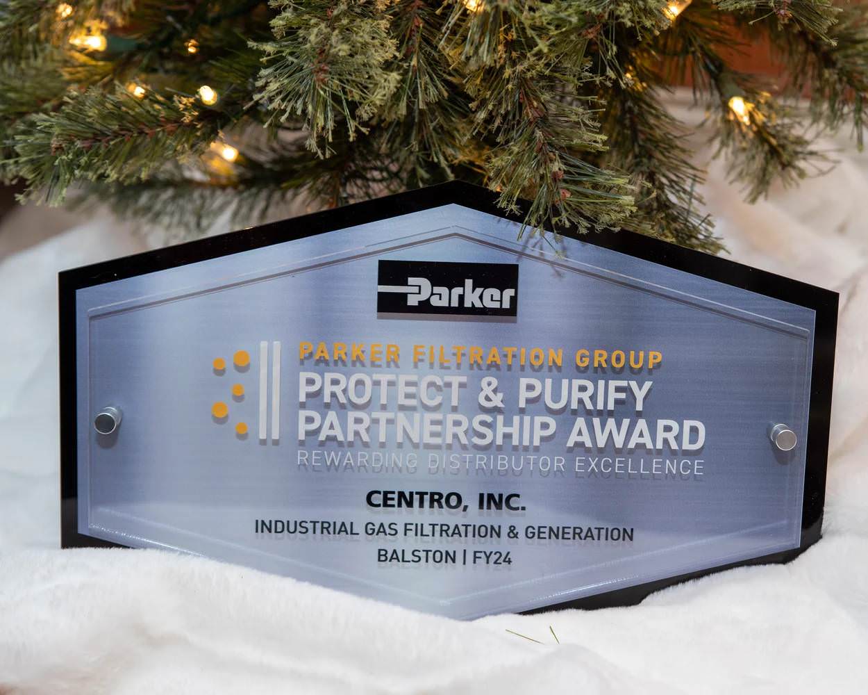 ParkerAward1.jpg Parker Award