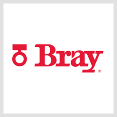 Bray International 2
